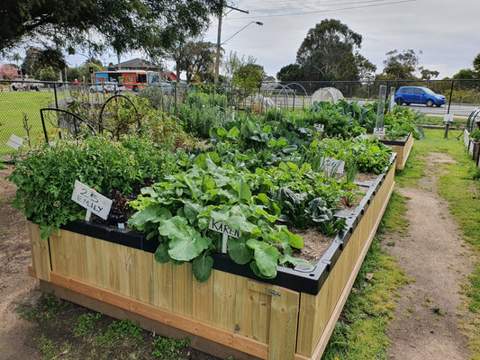 Chelsea Heights Community Garden