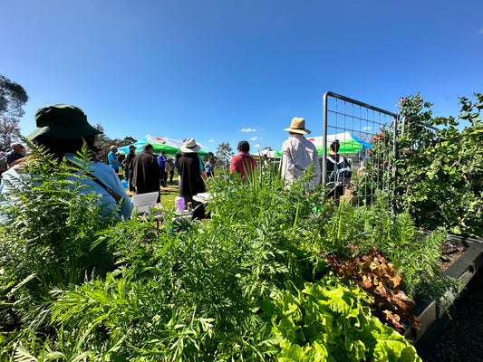 Maralinga Community Garden