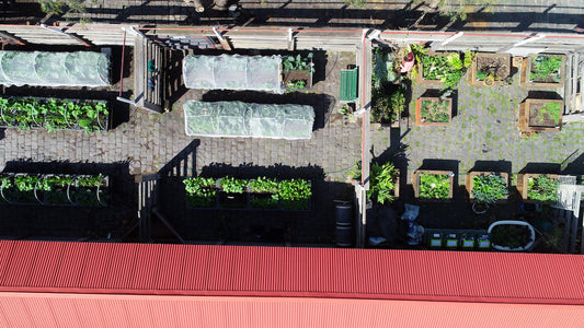 Kensington Stockyard Food Garden