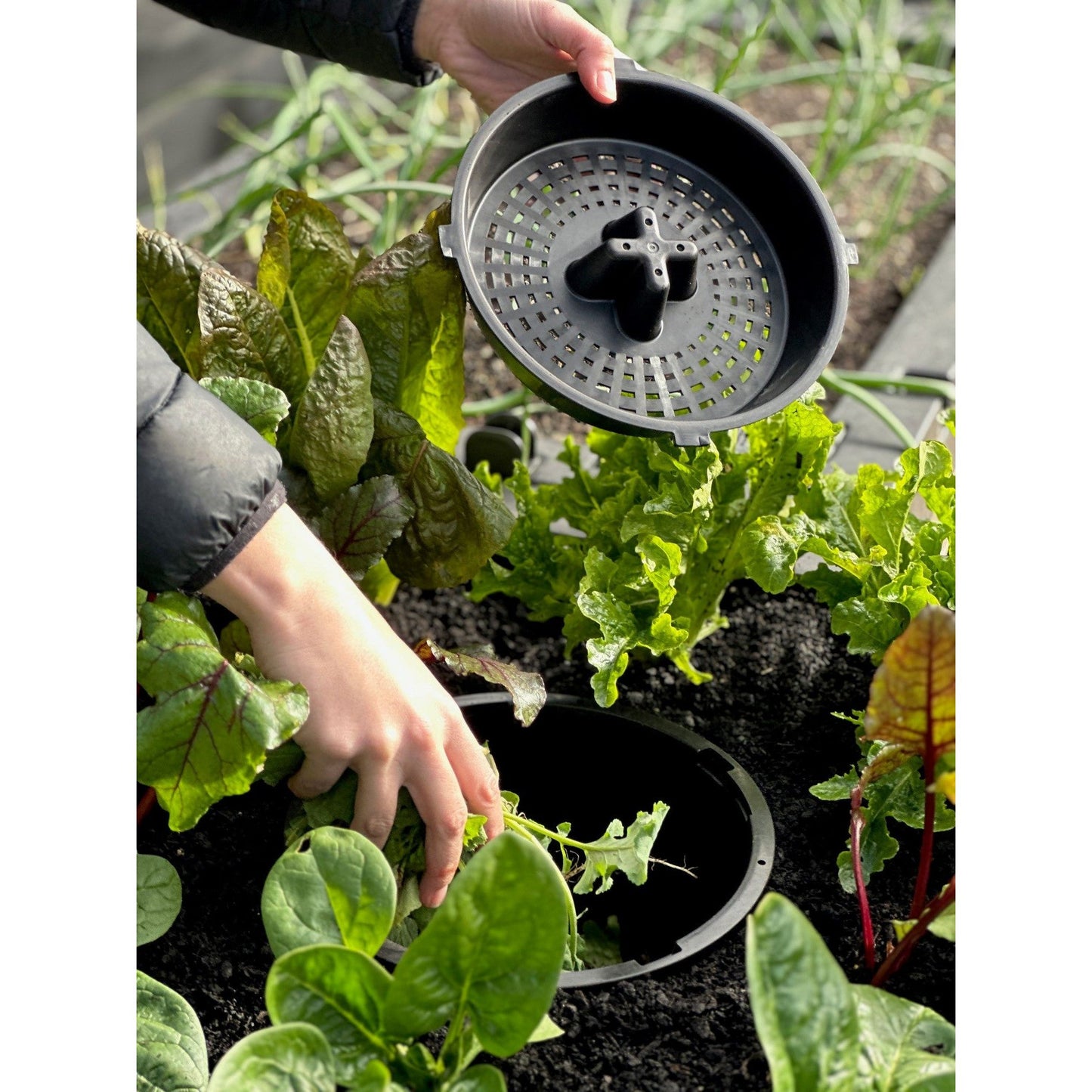 Foodcube Slim with Worm Composter