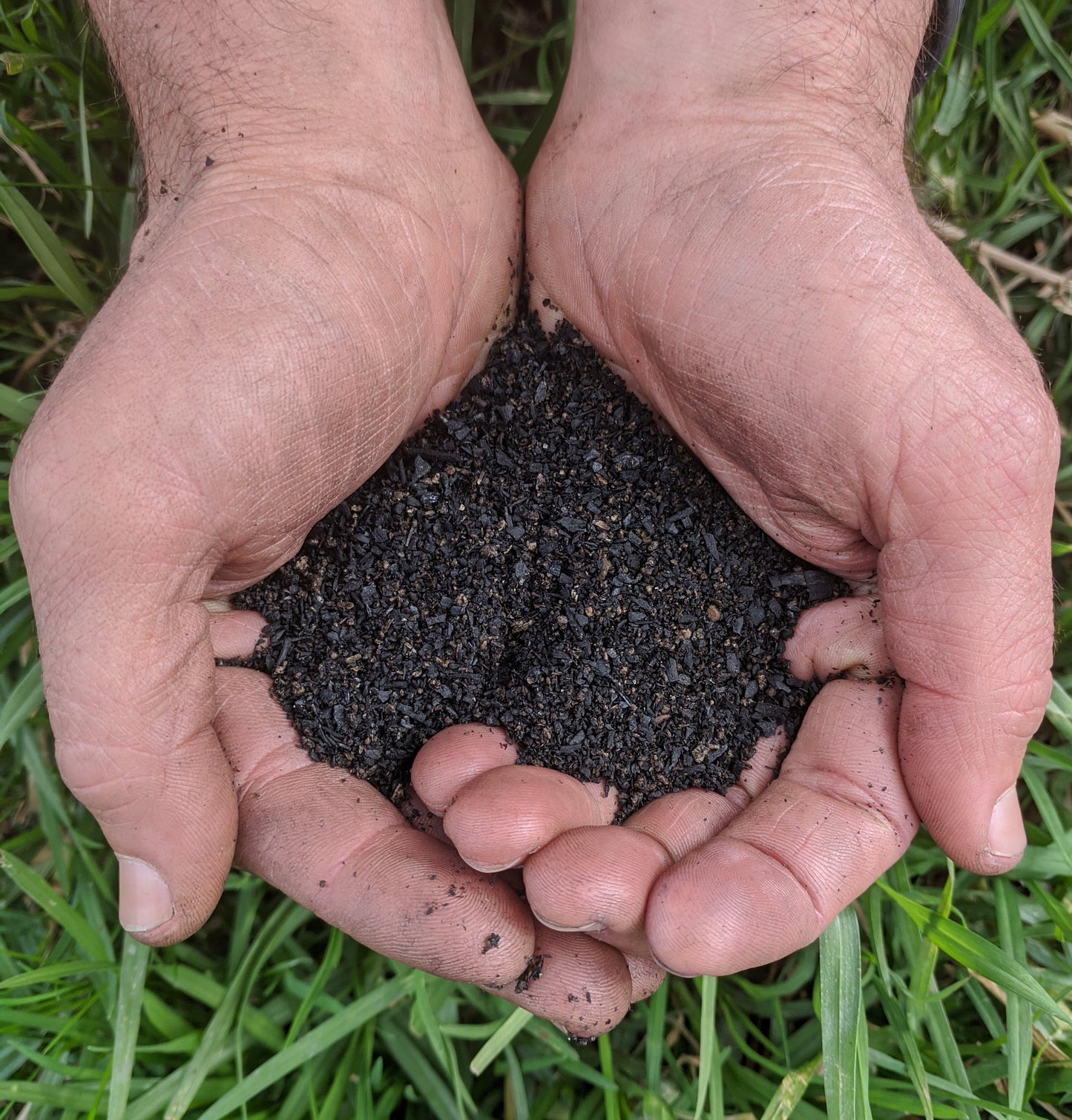 Green Man - Biochar + Frass – 1L Bag