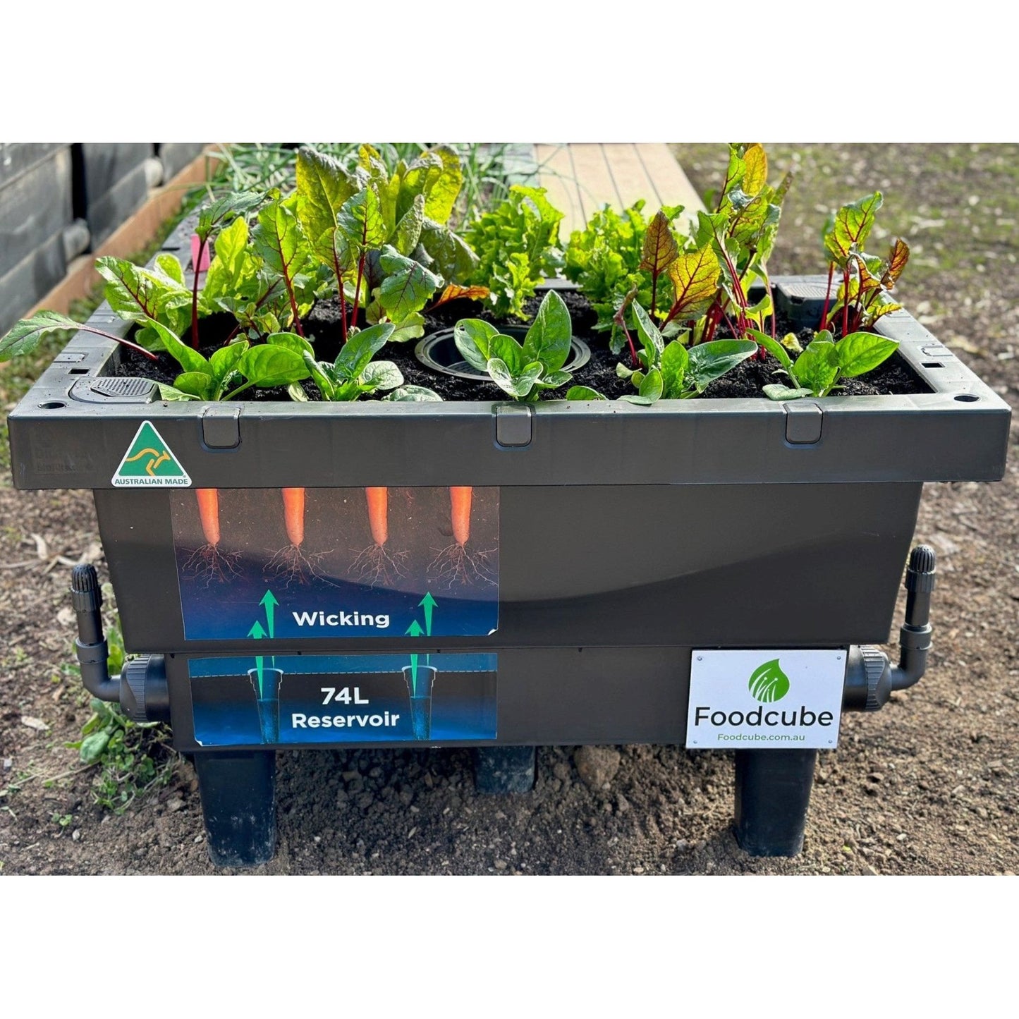 Foodcube Slim with legs and insitu worm farm