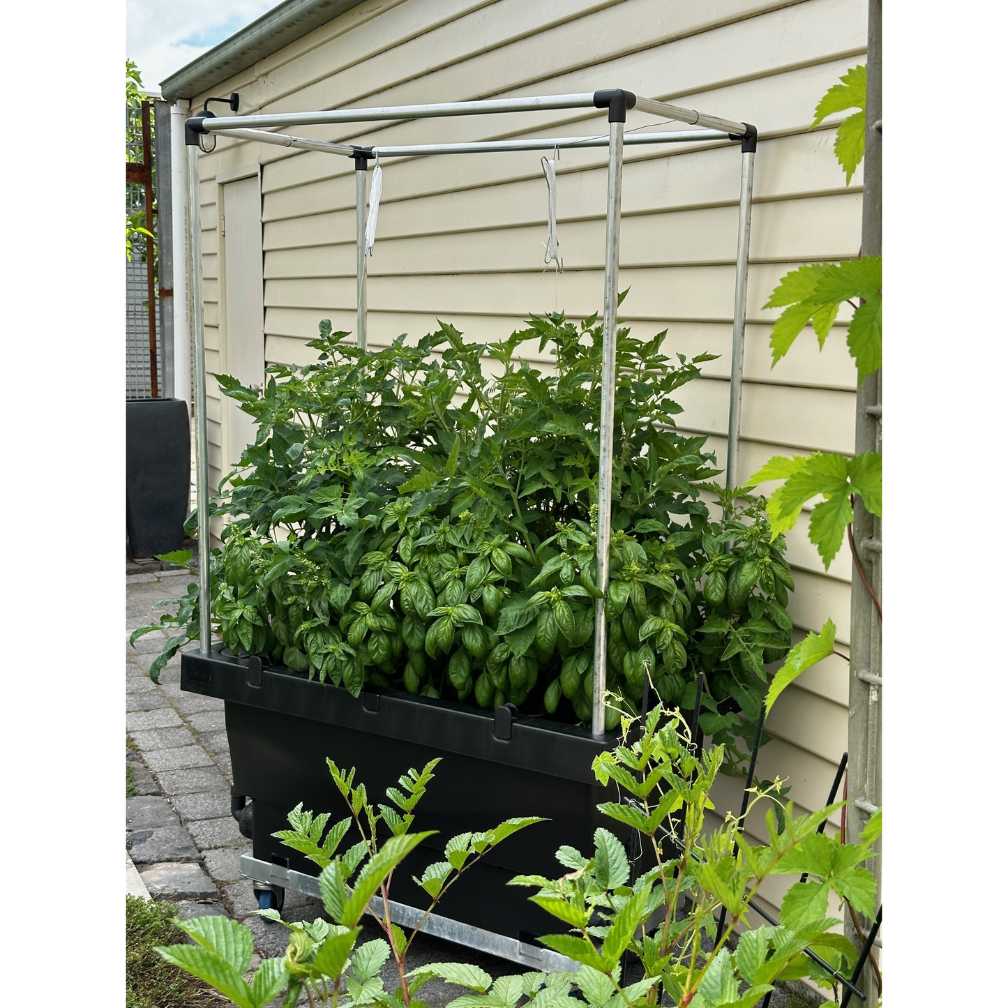 Foodcube Net systems