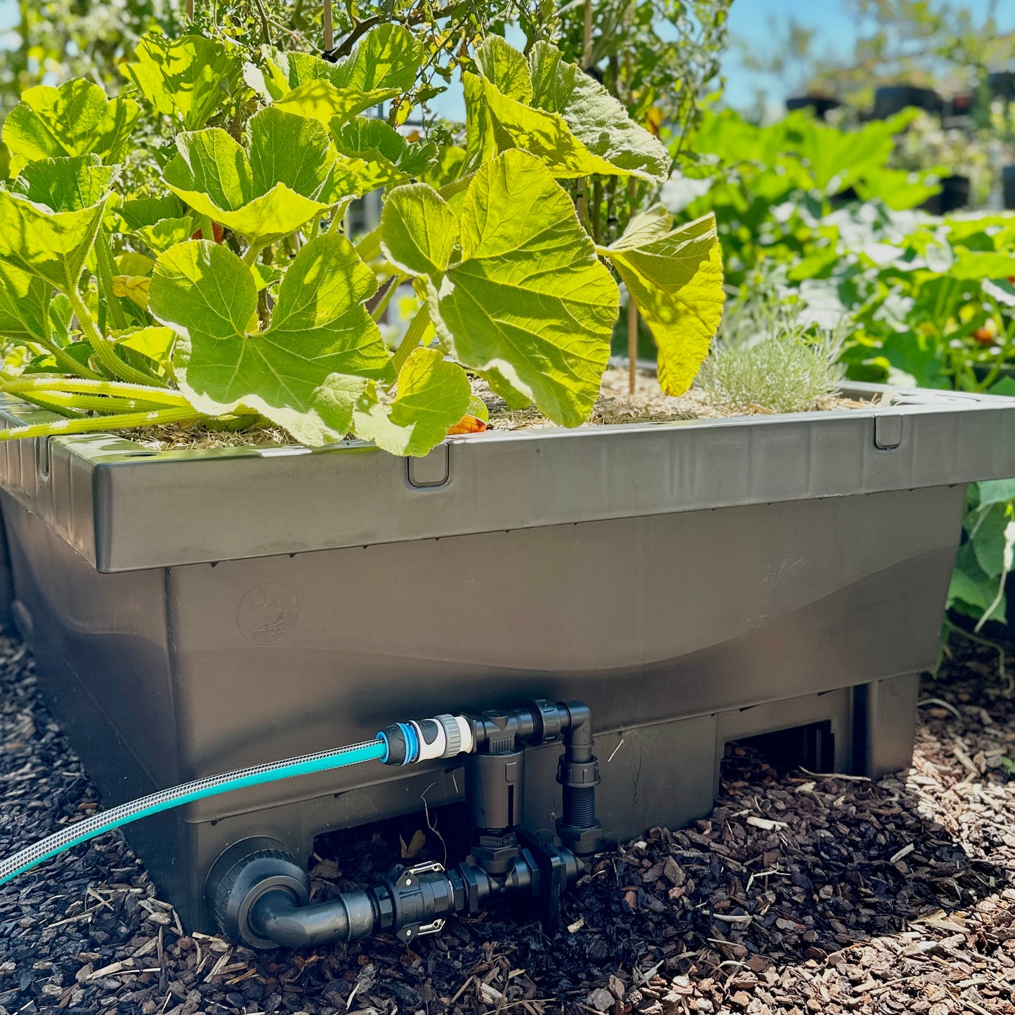 Foodcube Auto Watering System