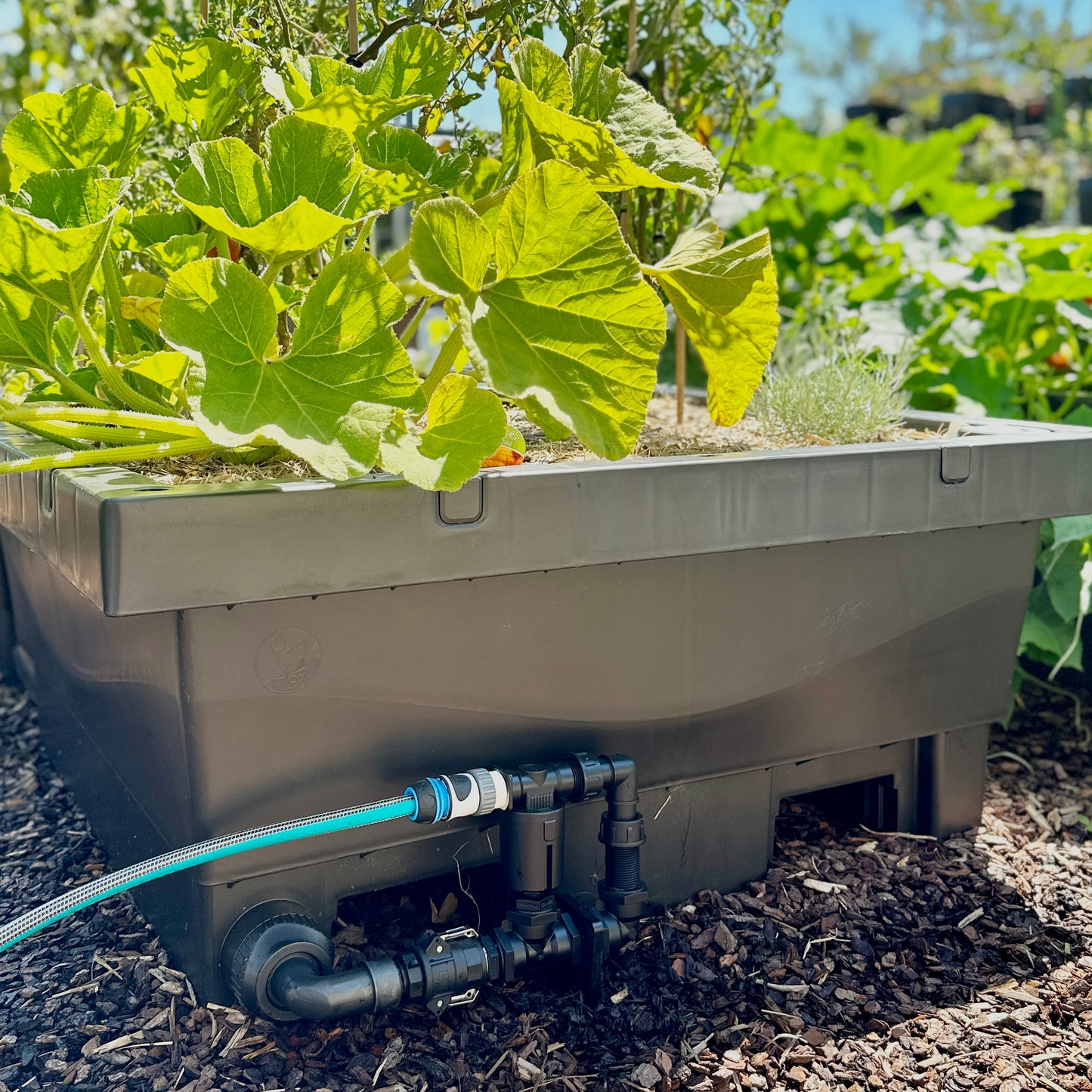 Auto Watering System