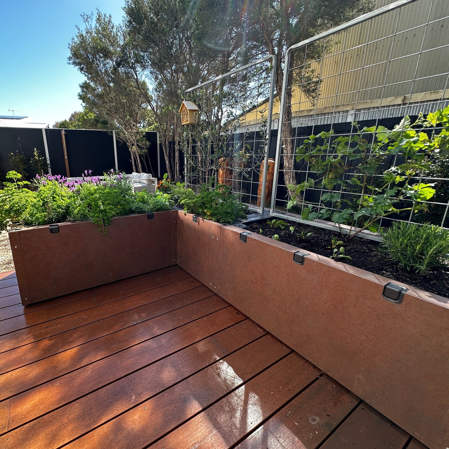 The Block Bundle 1 - Foodcube corner raised garden bed