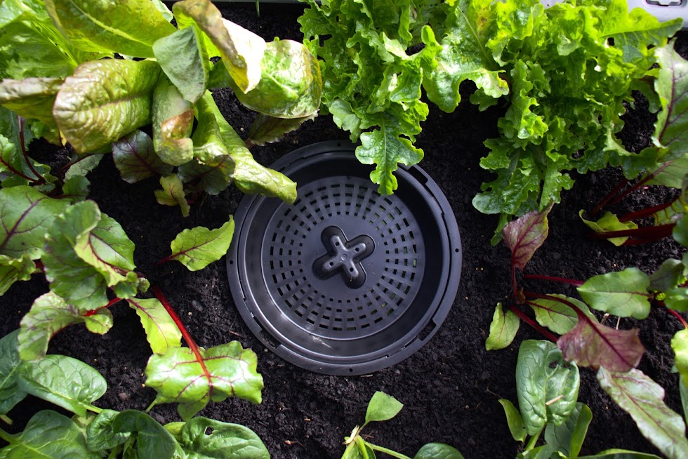 Foodcube Slim with Worm Composter