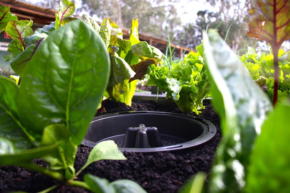 Foodcube Slim with Worm Composter