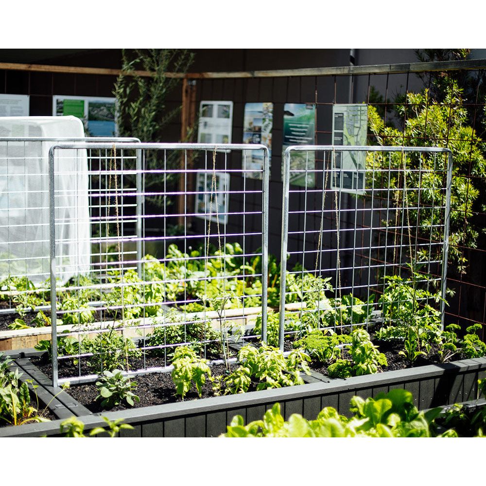 Trellis