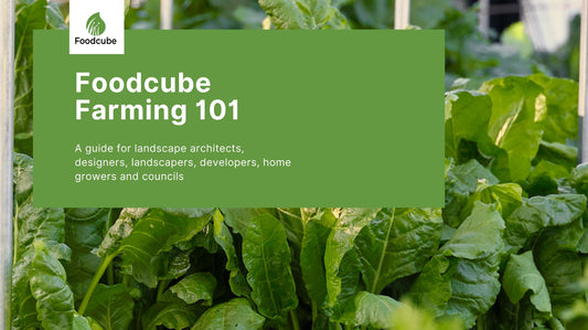 Foodcube farming guide