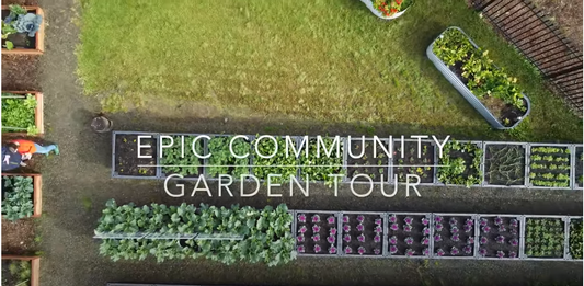 Maralinga Community Garden - Take the tour