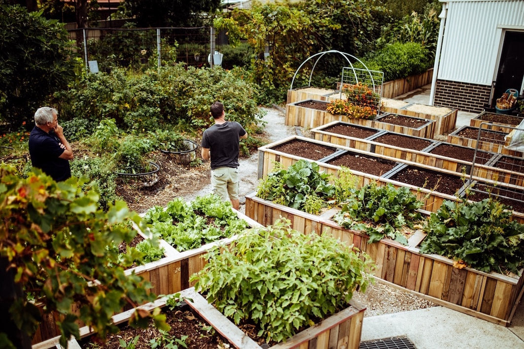 Funding for Community Garden Project