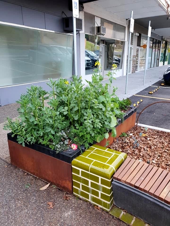 Edible Streetscape, Ashburton – Foodcube