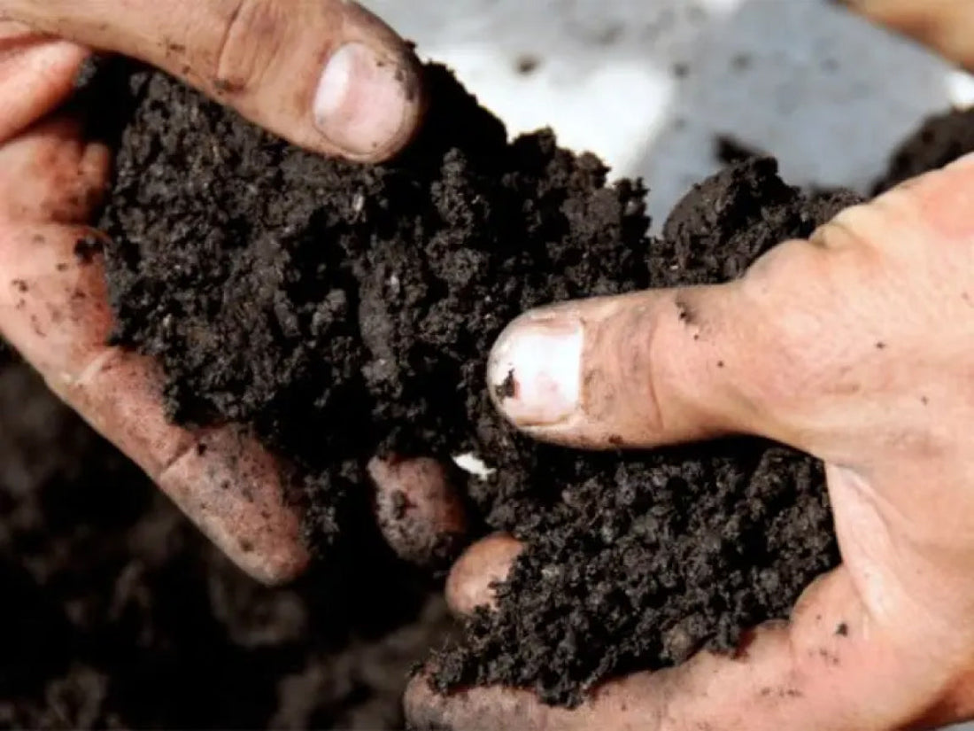 Soil