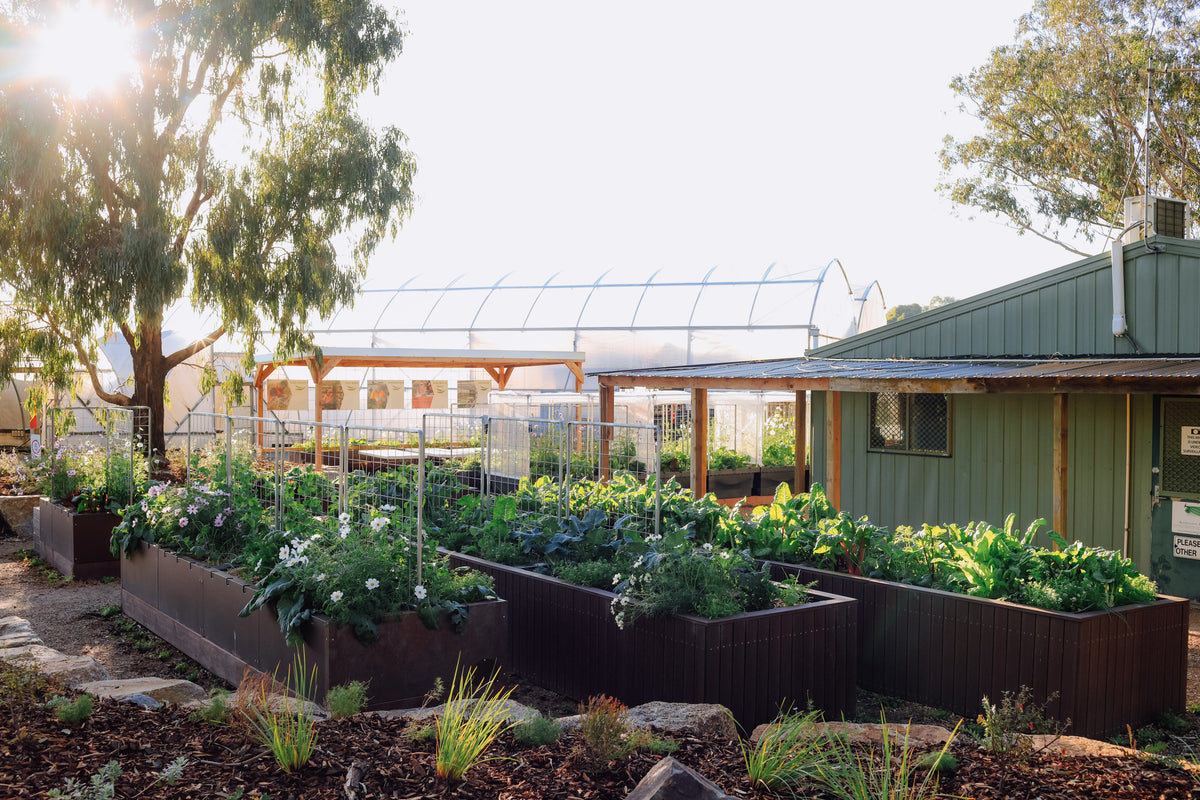 Raised Garden Beds: Australian Made & Water Efficient | Foodcube ...