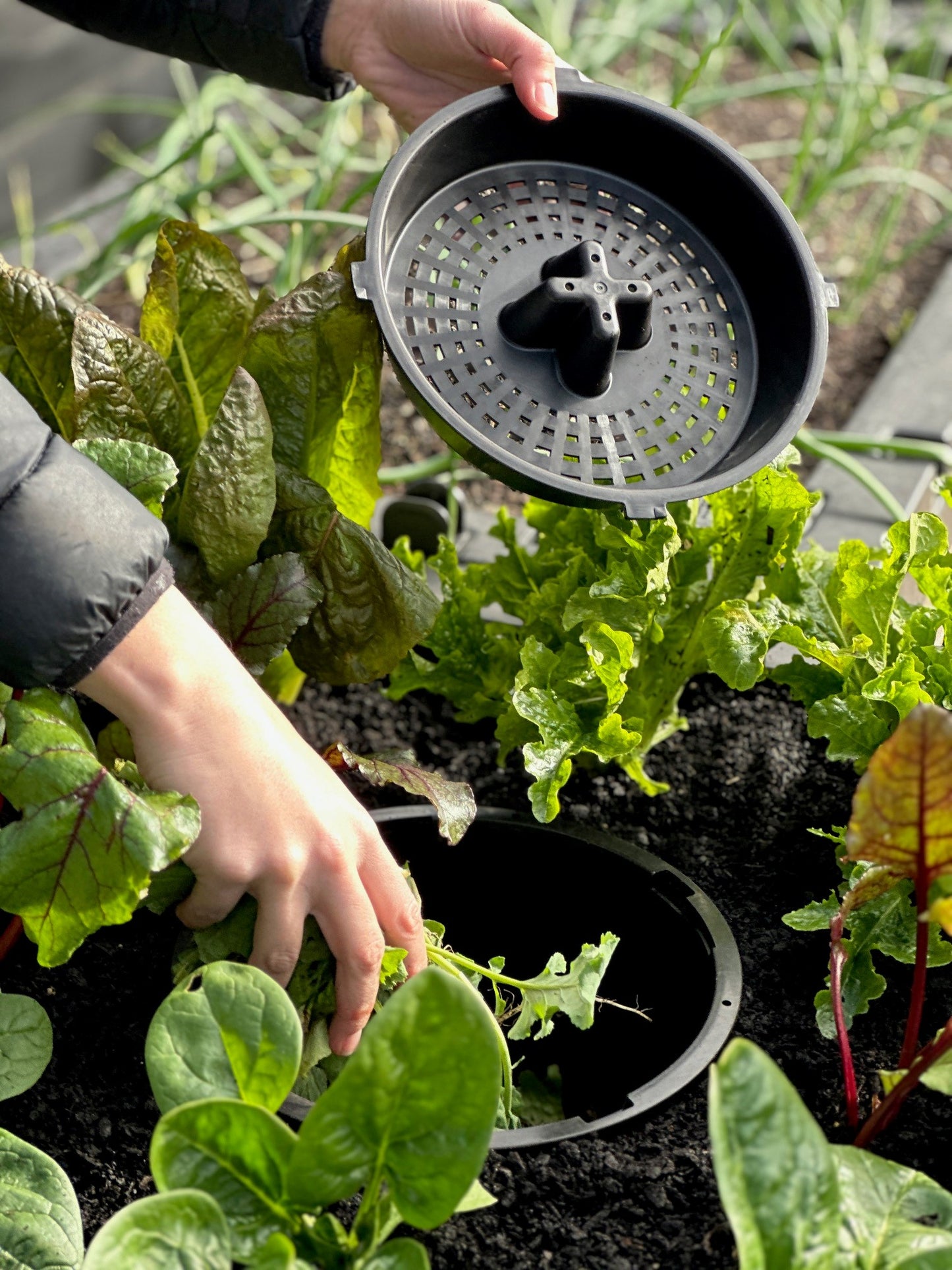 Foodcube Slim with Worm Composter