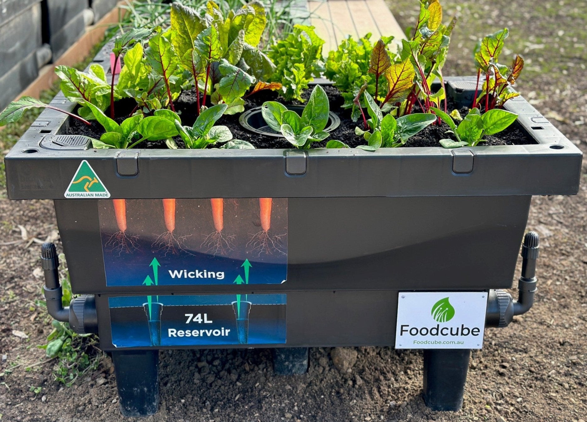 Foodcube Slim with legs and insitu worm farm