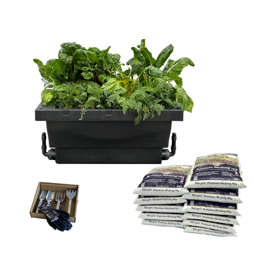 Foodcube Father's Day bundle
