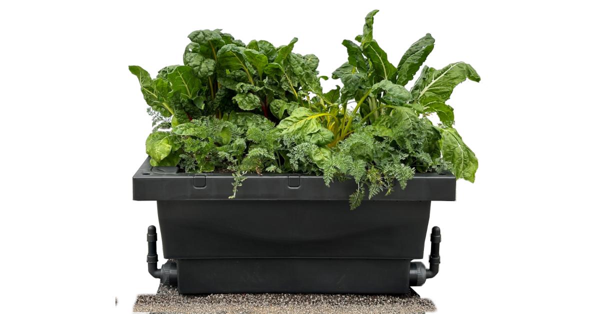 Raised Garden Beds: Australian Made & Water Efficient | Foodcube ...