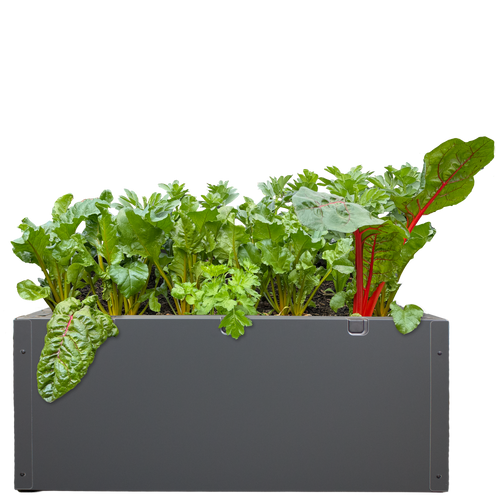 Foodcube Cladding Single Set 500mm (Monolith)