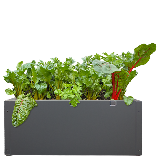 Foodcube Cladding Single Set 500mm (Monolith)