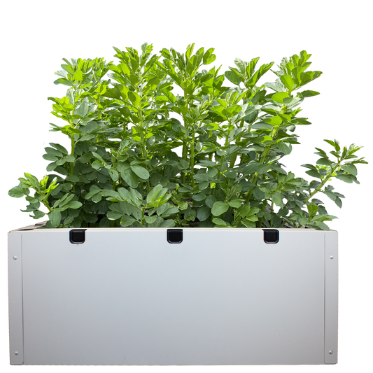 Foodcube Cladding Single Set 500mm (Off White)