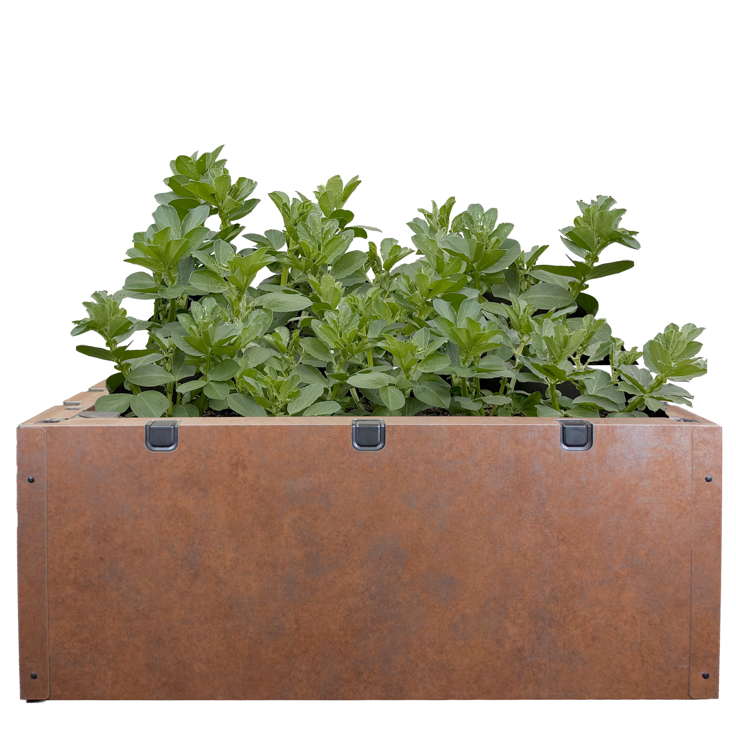 Slim Cladding Single Set 500mm (Weathered Iron)